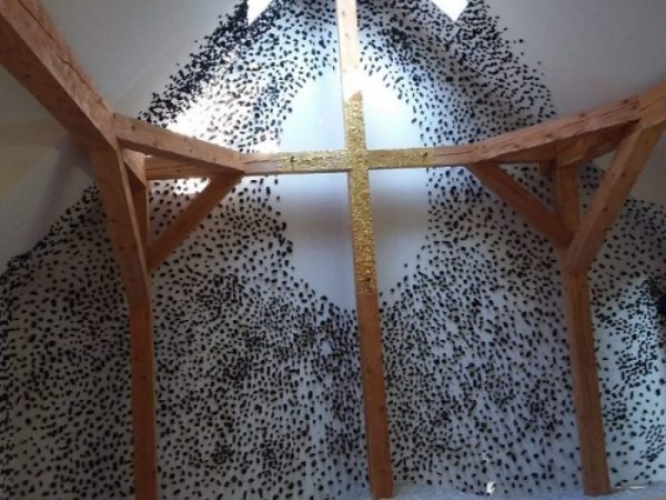 chiesa in legno Fujimori